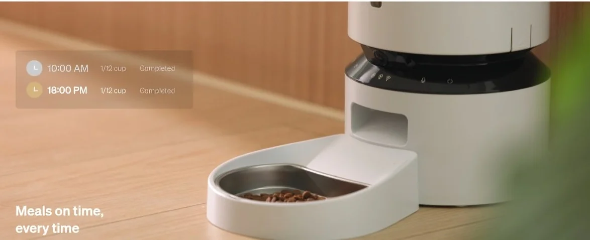 How Smart Pet Feeders Are Changing the Way We Care for Cats and Dogs