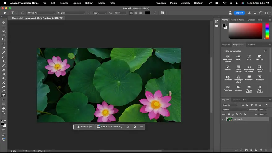 adobe creative cloud pro