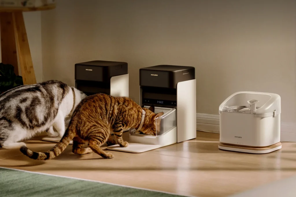 Memorial Day Weekend Pet Essentials: Keep Your Pets Happy with PETLIBRO Smart Feeders & Fountains